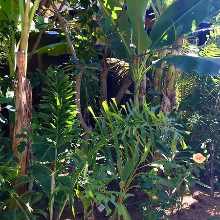 Mahogany Cottage Gili Meno Dış mekan fotoğraf
