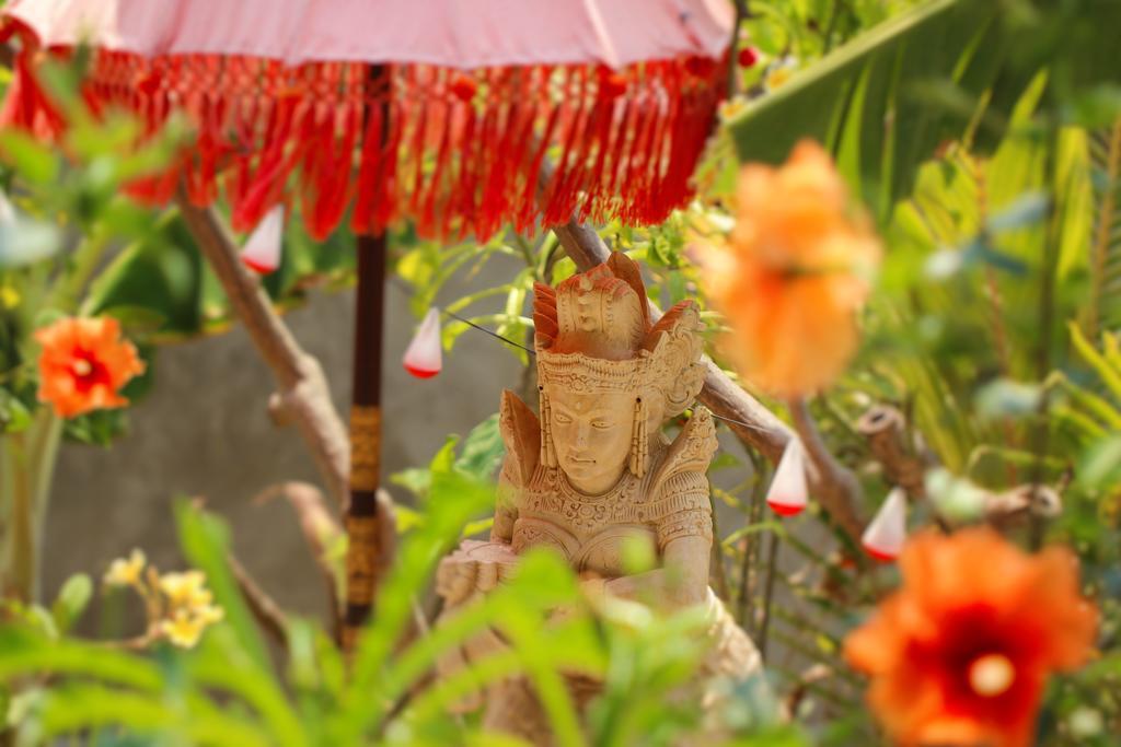 Mahogany Cottage Gili Meno Dış mekan fotoğraf