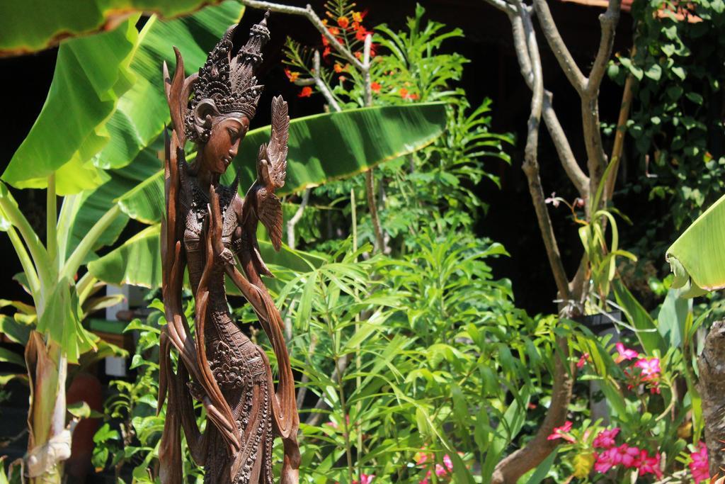 Mahogany Cottage Gili Meno Dış mekan fotoğraf