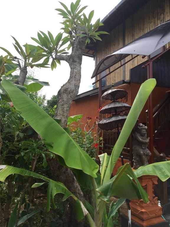 Mahogany Cottage Gili Meno Oda fotoğraf
