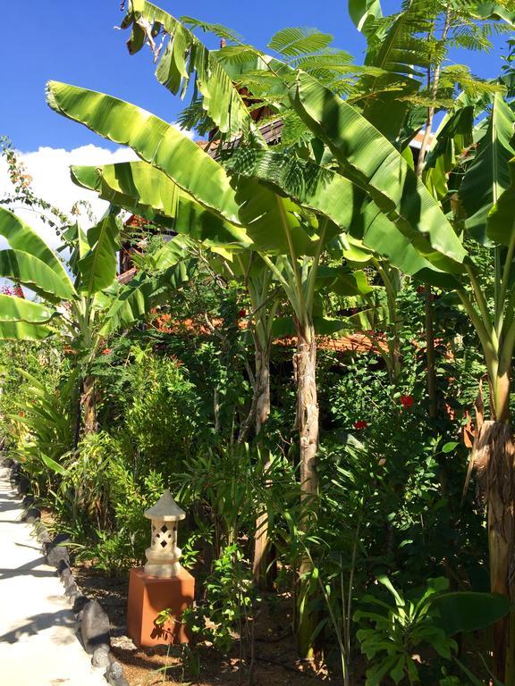Mahogany Cottage Gili Meno Dış mekan fotoğraf
