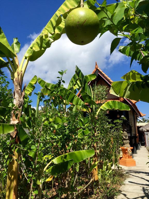 Mahogany Cottage Gili Meno Dış mekan fotoğraf