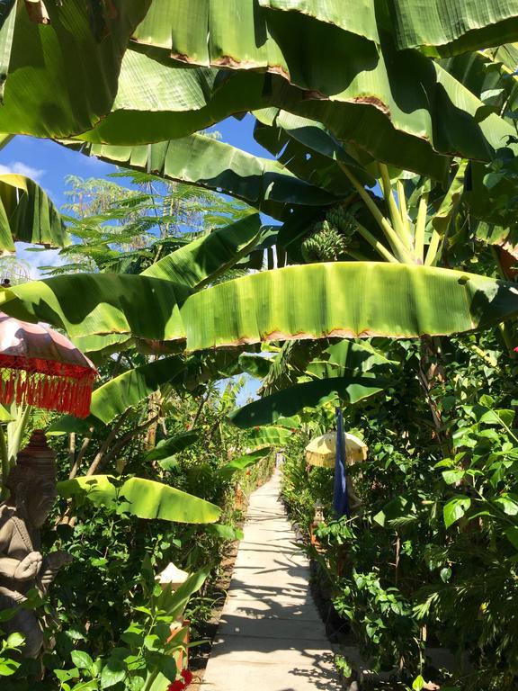 Mahogany Cottage Gili Meno Dış mekan fotoğraf